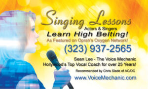 Singing Lesson business card for Voice Mechanic